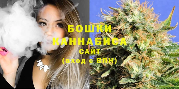стафф Богородицк