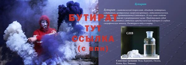 прущие грибы Беломорск