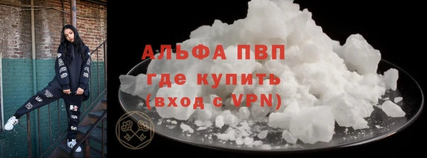 прущие грибы Беломорск