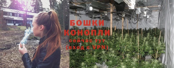 прущие грибы Беломорск
