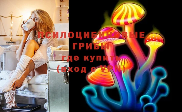 прущие грибы Беломорск