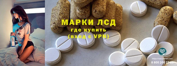 прущие грибы Беломорск