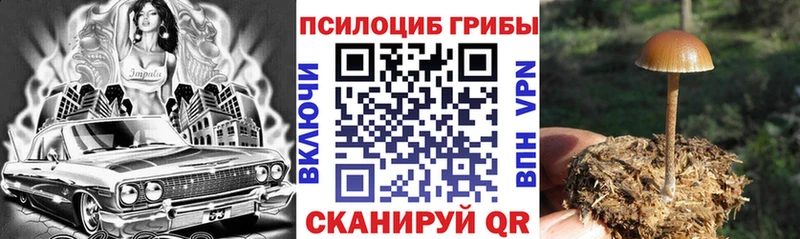 ОМГ ОМГ онион  Белово  Псилоцибиновые грибы Psilocybe 